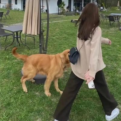 烈女与镖客